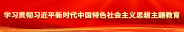 美女jj视频网站学习贯彻习近平新时代中国特色社会主义思想主题教育